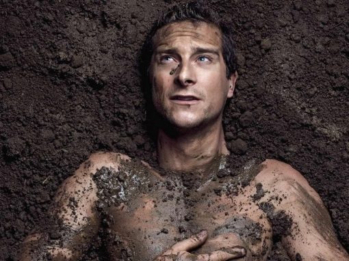 Bear Grylls AM Wicked